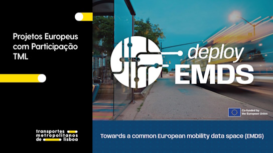 deployEMDS lança Innovation and Scaling Group